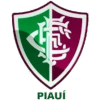 Fluminense PI Youth logo - Youth VS Ae Altos U Live Score