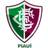 Fluminense PI Youth logo