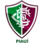 Fluminense PI Youth logo