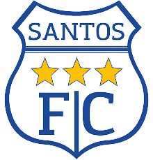 Santos Ica logo