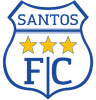 Santos Ica logo