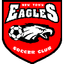 New Town Eagles logo