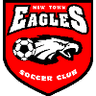 New Town Eagles logo