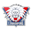 Linkopings Women logo - Swe Damallsvenskan 31952 Live Result