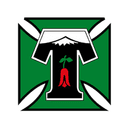 Deportes Temuco (w) logo - W VS Deportes Temuco W Result
