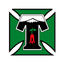 Deportes Temuco (w) logo