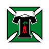 Deportes Temuco (w) logo