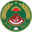 Ansar VDP Women logo