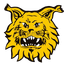 FC Ilves U21 logo