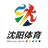 Shenyang Big Ball Center U17 logo - Cyfl U 36562 Live Score