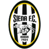 ACN Siena Youth logo