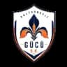 Sultanbeyli-Gucu W logo