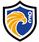 Quinho FC U20 logo - U VS Falcon Fc Se Youth Live