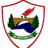 SD Raiders FC logo