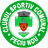 CSC Peciu Nou logo