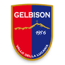 Gelbison logo