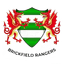 Brickfield Rangers logo