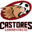 Castores Gobrantacto logo