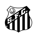 Santos Women logo - Women VS Flamengorj W Live