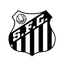 Santos Women logo