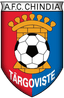 CF Chindia Targoviste U19 logo