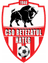 CSO Retezatul Hateg logo