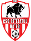 CSO Retezatul Hateg logo
