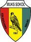 Sokol Kolbuszowa Dolna logo