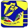 Ngozi City FC logo