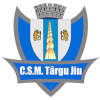 CSM Targu Jiu logo - Jiu VS Acs Medias Result Today