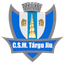 CSM Targu Jiu logo