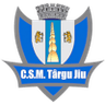 CSM Targu Jiu logo