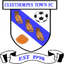 Cleethorpes Town logo
