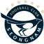 Seongnam FC logo