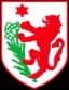 ASD Grassina U19 logo