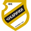 Cukaricki U19 logo