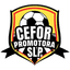 Cefor Promotora San Luis logo