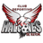 CD Halcones de Rayon logo