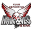CD Halcones de Rayon logo