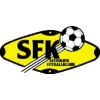 Steinkjer Women logo - W VS Steinkjer Women Result