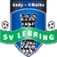 SV Lebring logo