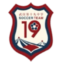 Wuhan No. 19 Middle School U17 logo - U VS Shenzhen Pengcheng Shenzhen Second Experimental School U Sport