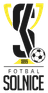 SK Solnice logo