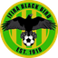 Ifira Black Bird logo