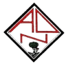 AD Nogueirense logo