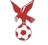 Whitehawk logo