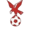 Whitehawk logo