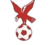 Whitehawk logo