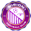 Vision FC logo