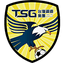 Tainan City Steel logo